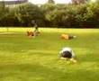 voetbal schwalbes