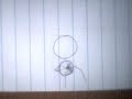 Three Flipbook Shorts