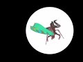 Insect (Bug)