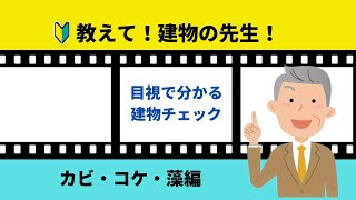 3.教えて！建物の先生！～カビ・こけ・藻編～