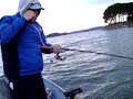 Tom Bono Loses Huge Fish at Clear Lake