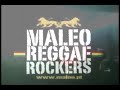 maleo reggae rockers mys?owice maleo reggae rockers mys?owice