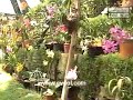 parque