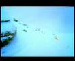 videos de Ehhh! Marko Grilc