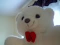 le-petit-ours-blanc.html