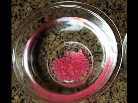 Molecular Gastronomy Made Easy! (Spherification)