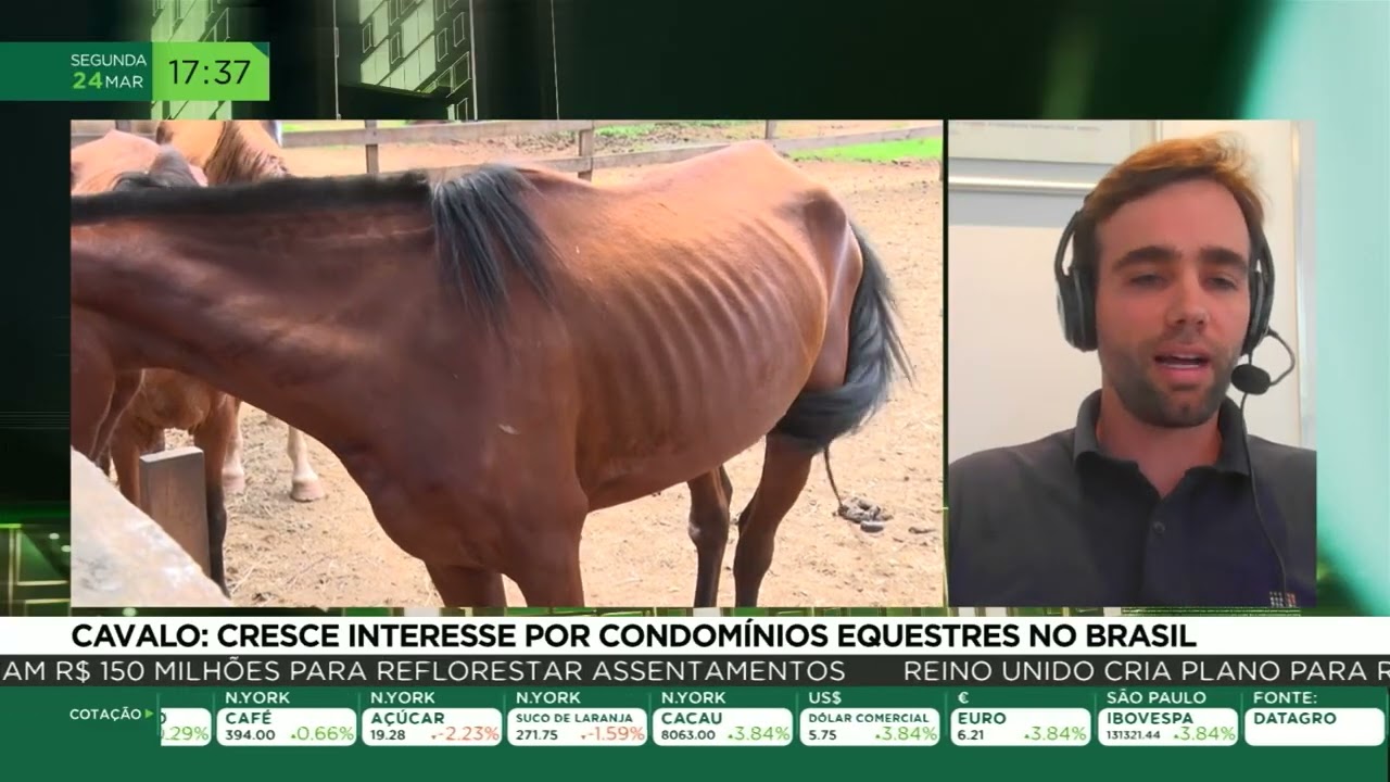 Cavalo: Cresce interesse por condomínios equestres no Brasil