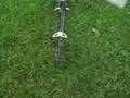 videos de Trex 500 GF with electrostatic interference on gyro
