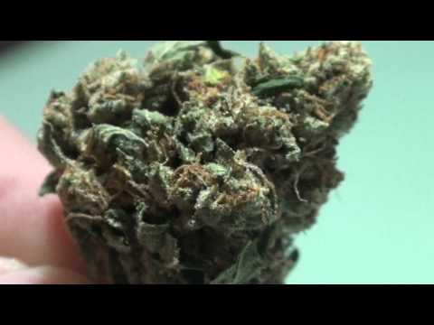 Ghost OG Strain Review