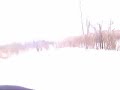 PICT0081.mp4
