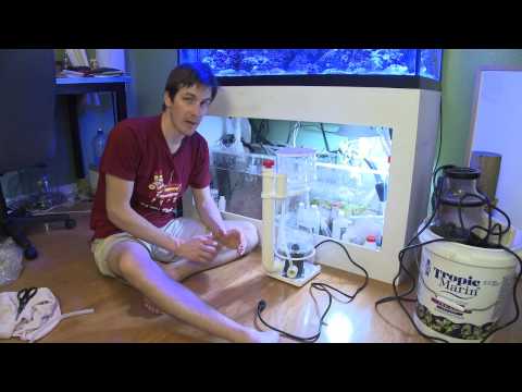 how to adjust protein skimmer