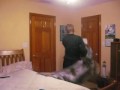 niño flipado que se vuelve loco viendo PORNO !!