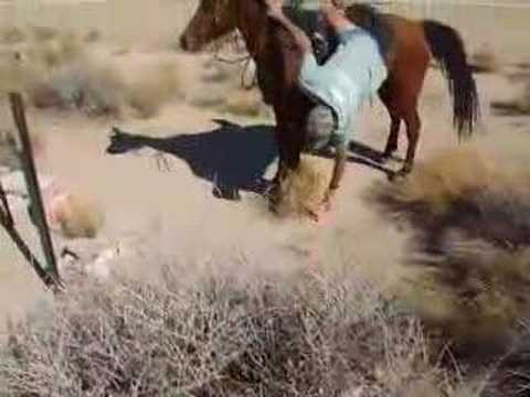 Trail Marking with Dave Rabe