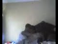 JACOB VS TOMMY PART 2 (NO HOMO)