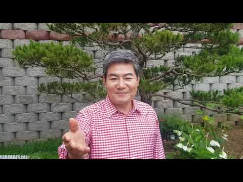 베스트루이스해밀턴 오션테라스 가수 진성 축하영상