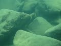 IKOLA - lake Tanganyika.
