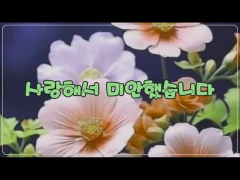 사랑해서 미안했습니다 -최승권