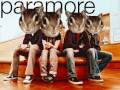 videos de Crushcrushcrush chipmunk style