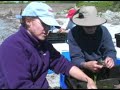 RESTORE: All About Eelgrass Restoration RESTORE: All About Eelgrass Restoration