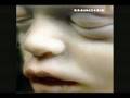 videos de Rammstein - Spieluhr
