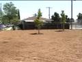 Pulse of the Port: Harbor Arbor Day 2008
