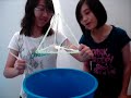 BUBBLE MACHINE: Science Buskers Festival- Busking Round Online (8-16 Jan) BUBBLE MACHINE: Science Buskers Festival- Busking Round Online (8-16 Jan)