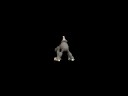 Spore Creature Creator Video