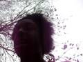 videos de jay-jayblog#4/5
