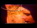 The Azoic - Pure Pleasure