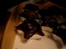 EarthCake