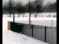 IF WE WERE ALL THIS FREE - an Ode to Snow [spoken word]