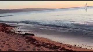 ضحايا السلاح   مخيم الرشيدية