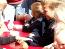 thomas and the duck