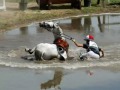 chute-cheval.html