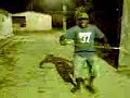 Zoi�do em a��o