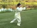 Taiji: Compact Tai Chi for Wimps easy tai chi