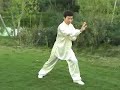 Taiji: Compact Tai Chi for Wimps easy tai chi
