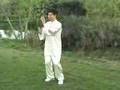 Taiji: Compact Tai Chi for Wimps easy tai chi