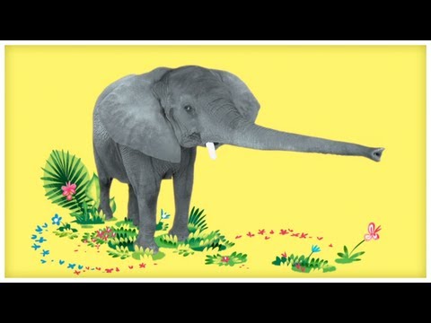 StoryBots : Animal Songs(스토리봇즈 : 동물 노래)