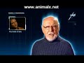 Part 5 Reptilian Creatures - Animal X Natural Mystery Unit Part 5 Reptilian Creatures - Animal X Natural Mystery Unit