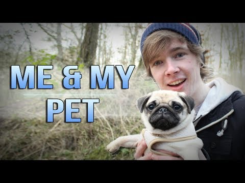 ME & MY PET (Ellie the Pug!) | TDM Vlogs #30