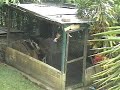 Genius dog climbs fence - MISSION IMPOSSIBLE-STYLE