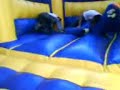 Pelea en el brincolin