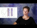 Effects of wars and epidemics on historical atmospheric CO2 content: Dr. Julia Pongratz