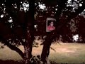http://img.youtube.com/vi/MLxJ0X1RaIo/2.jpg