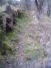 Bruco