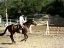 Equestrians Do It Better