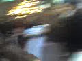 sau sau leruu!!... zapallo pallo pallo