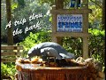 Homossassa Springs Wildlife Park.mpg