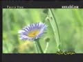 SZ-FI-07.06.07شعر استاد بهار در باره بهشت و جهنم